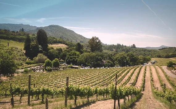 Terroir